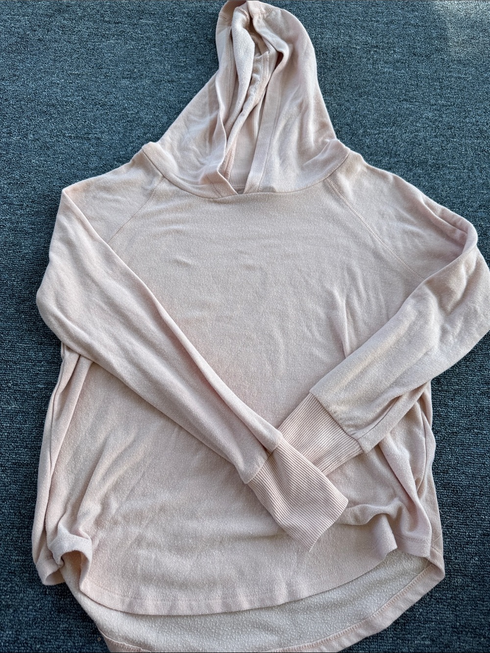 Philosophy Light Blush Pink Hooded Crewneck Sweater